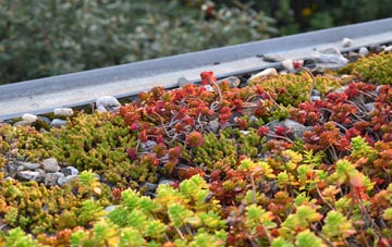 the cost of Col Uarach green roof installation