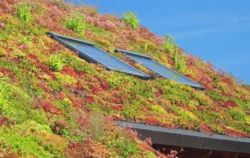 Col Uarach living roof systems
